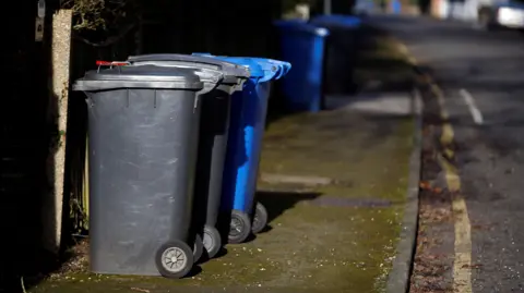 Two black wheelie bins and a blue wheelie bin are lined up on a street