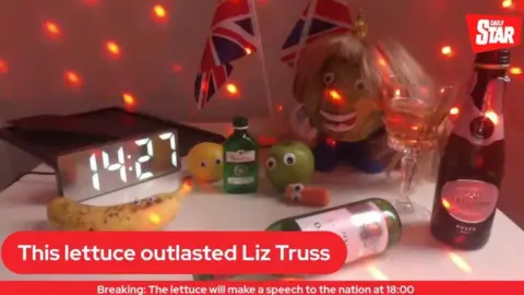 Daily Star A lettuce in a blond wig next to a clock and bottles of alcohol