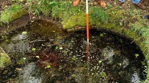 Helen Heywood A small green pond with leaves floating on top and a wooden pole sticking into it