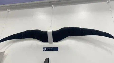 A bird inspired glider wing at the University of Surrey. 
