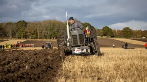 Paul Campbell A man drives a vintage tractor as it ploughs a field of stubble. There are other tractors, and also people, in the background the field in lined by trees.