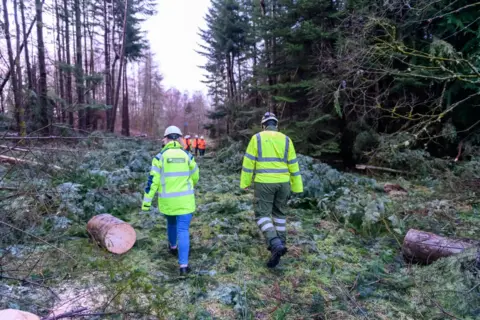 SP Energy Networks Rear view of two SPEN engineers in hi-vis jackets and hard hats walking through a wooded area. There are tall fir trees on either side of them, as well as several fallen branches and logs. 