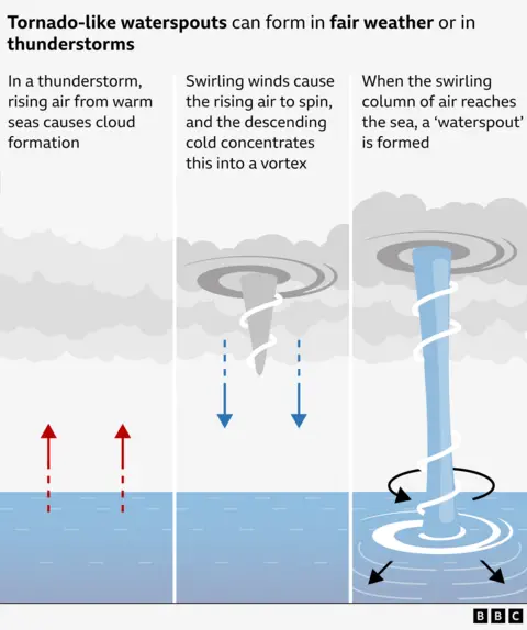 A graphic showing how tornado-like waterspouts form in fair weather or in thunderstorms