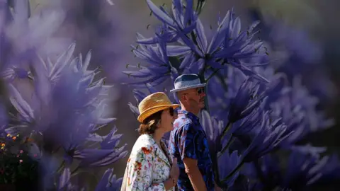A woman and a man in straw hats arrive for the RHS Chelsea Flower Show