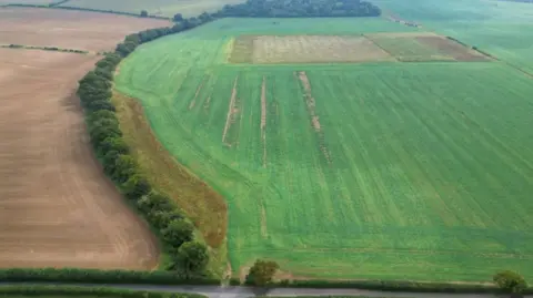 Paul Whitewick field