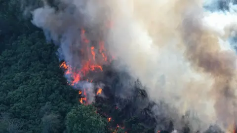 Eddie Mitchell A wildfire burns across a large patch of green countryside, with flames and white smoke rising high into the air.