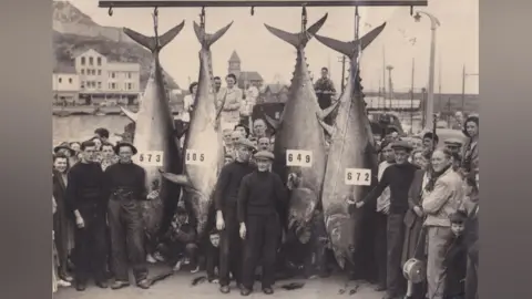 Scarborough Maritime Heritage Centre A black and white photo of a group of people stood around four large bluefin tuna hanging upside down on Scarborough.