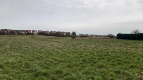 LDRS A grass field off Burdon Road which has been earmarked for the proposed homes. Dozen of detached houses are visible on the edge of the field.