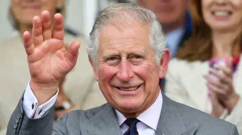 King Charles waving at people while wearing grey suit, a woman is in the background clapping.