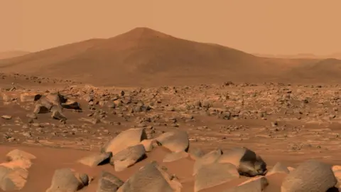 An artist's impression of the surface of Mars
