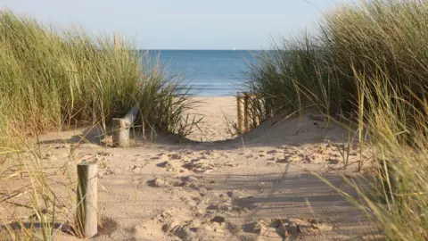 Getty Images A sandy path leading to the sea. Long grasses are growing in the dunes. It looks like a bright, sunny day.