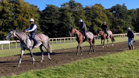 Tom Williams/BBC Grey-coloured Charyn and two other horses, all with riders, walking on the Newmarket gallops while Roger Varian, dressed in baseball cap, jacket and jeans, walks along the grass beside them. There are trees in the backrgound and a cloudless blue sky.