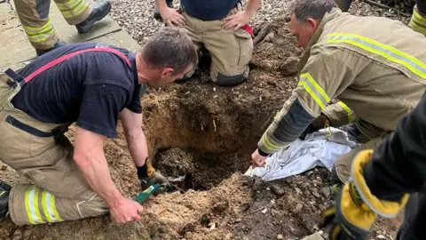 Essex County Fire & Rescue Service Fire crews digging to get to a trapped fox cub in Colchester, Essex