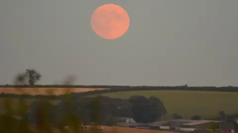 Lou Buckland A large orange full moon hangs above rolling farmland and farm buildings in Devon at twilight, viewed across fields and hedgerows.