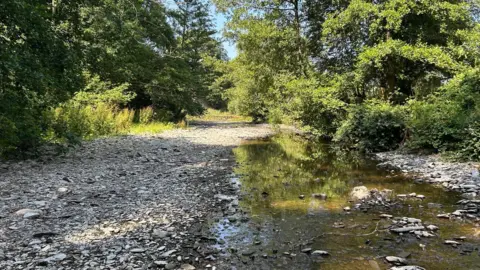 A photo of a river with very low water levels due to the weather. Lots of trees line the river.
