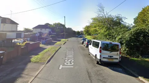 A screenshot from Google street view of a residential street with houses on one side and shrubbery and parked cars on the other. It's a sunny day and the sky is blue