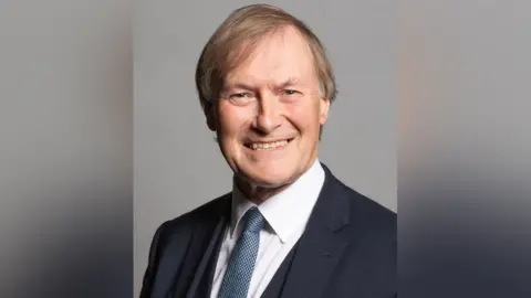 Head and shoulders photo of Sir David Amess MP. He is smiling at the camera and wearing a dark jacket, white shirt and checked blue tie.