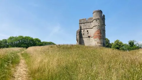 Donnington Castle, an old looking remains of a castle, at the top of a grassy hill in Newbury, with some trees in the distance.
