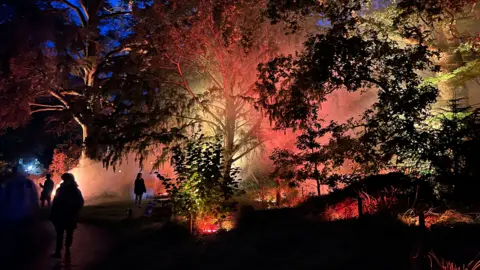 Trees in a botanical gardens back lit with red and yellow lights as people wander along paths at night.