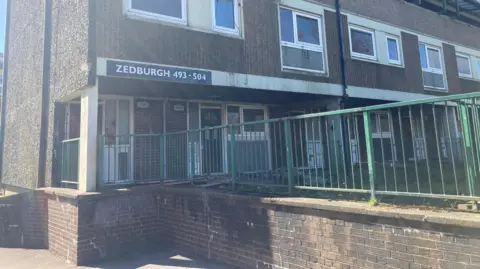 LDRS Zedburgh block on the the Lower Falinge estate in Rochdale. It is a 1970s brick building with white windows and green railings