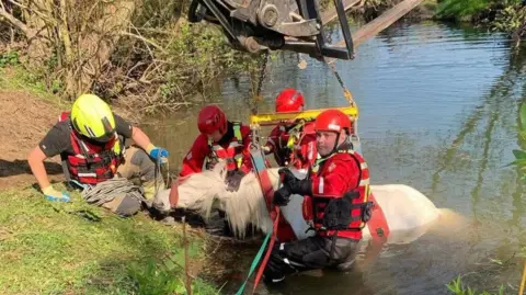 Malton Fire Station Image of fire crews and white coloured pony in the river with lifting apparatus around the pony.