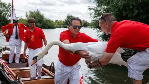 Getty Images A man dressed in red and white is stood on a boat handing a swan to a man on land. 