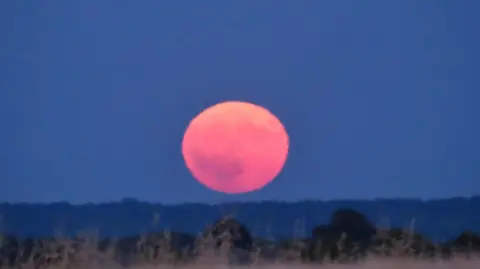 Maz The orange moon over indistinct fields in Hampshire.