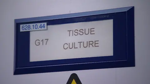 A sign reading "G17 Tissue Culture" taken inside the lab