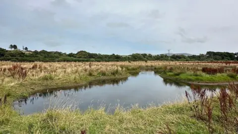 The site, you can see long grass, there is a pond in the middle, there are hedges around and hills in the background.
