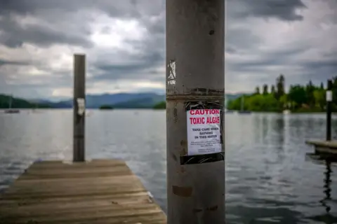 A picture of a lake with a wooden jetty  leading into it. On a pole is a sign with red letters saying Caution Toxic Algae.
