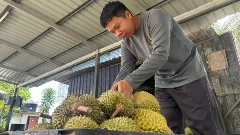 BBC/Koh Ewe  A young man in a grey sweatshirt and grey pants handles a pile of durians.  