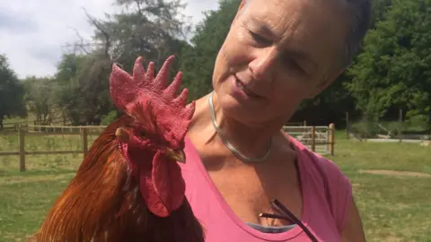 Change of Scene A woman in a pink t-shirt holding an auburn-coloured cockerel.