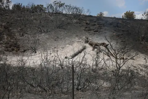 Reuters A close-up showing a bank or small hill of blackened earth and soil. There is blue sky above.