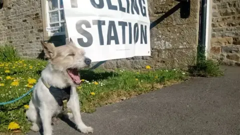 Calum Brown Maxi the Jack Russell this morning at St John's Chapel, County Durham