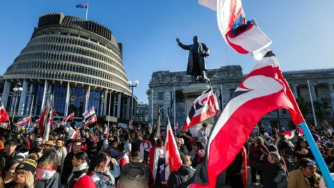 Getty Images People attend a protest outside New Zealand's parliament buildings