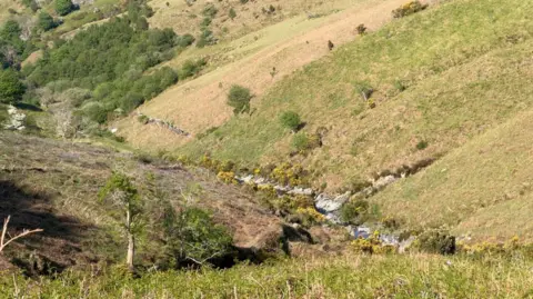 A gorse-lined stream runs through the bottom of Glen Auldyn valley, with green fields and scattered trees on the hillside.