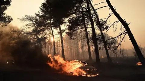 Reuters A car is seen in flames as a wildfire burns in the village of Varnavas, near Athens, Greece, August 11, 2024. 