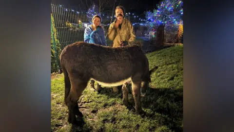Johnson of Old Hurst Two ladies standing behind a donkey who is sideways to the camera, the girl on the left has a blue shawl around her shoulder and brown shoulder length hair, the girl on the right has a false brown moustache on and brown hair with a gold cape on.  Behind them are some trees and lots of Christmas fairy lights strung up in a field.