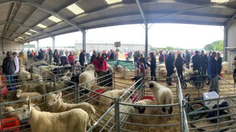 Black Isle Show