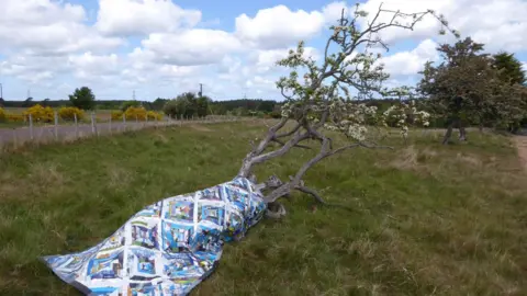 Claire Ward A quilt of crisp packets forms a blanket which has been wrapped around the base of a tree as a comforter.