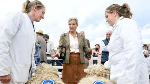 Chris Jackson/PA Wire The Duchess of Edinburgh speaks to winners of sheep awards as she visits the Cattle, Pig, Sheep and countryside area as she attends the Royal Cornwall Show.