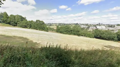 Grass fields in the sunshine surrounded by hedgerows