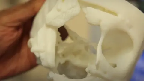 UHNM Charity A 3D printed skull