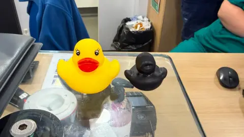 Libby Burgwin A large yellow rubber duck with a red beak, and next to it is a much smaller, completely black rubber duck