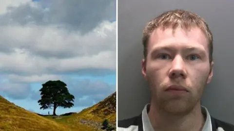Two images. On the left is the Sycamore Gap tree standing in a dip in the hill with clouds above it. On the right is a mugshot of Adam Carruthers who is looking into the camera with a straight face. He has blonde, short hair and stubble on his jaw.