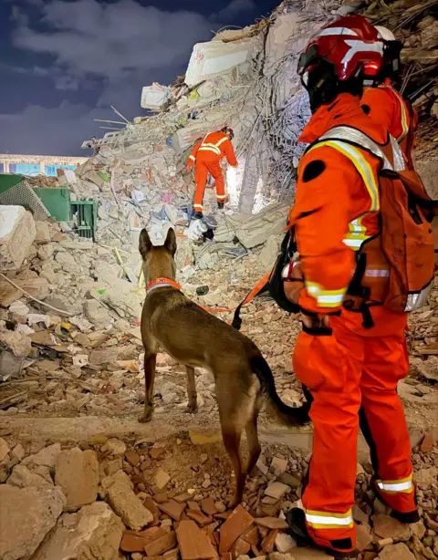 UK ISAR A person dressed in head-tot-toe orange hi-vis holds a dog on a lead, as they look for survivors in an area covered in rubble in La Guaira, Venezuela.