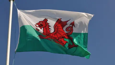 A Wales flag on a white flagpole with a cloudless blue sky in the background 