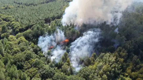 Dan Jessup Smoke billowing from a woodland.