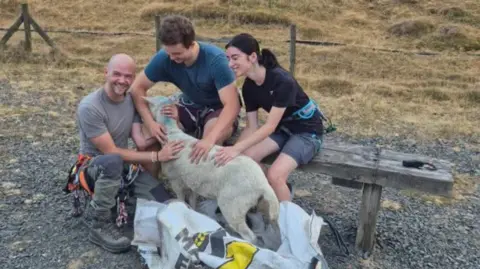 A kneeling man with a bald head, grey tshirt and climbing gear, a man with brown curly hair and a blue tshirt sitting on a wooden bench and a woman with dark hair tied back and a dark tshirt sitting on a wooden bench with a sheep between them in a large white bag