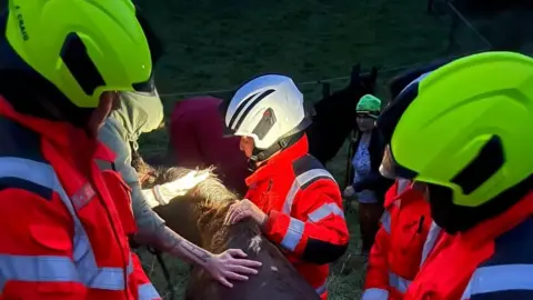 Alderney Fire Brigade Horse standing with fire fighters in low light